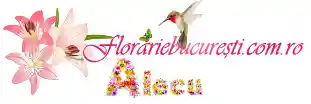 florariebucuresti.com.ro
